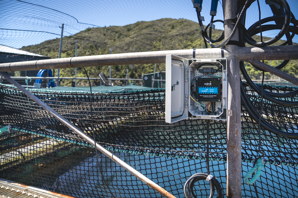 King-salmon farms water quality monitoring King Salmon farms water quality monitoring