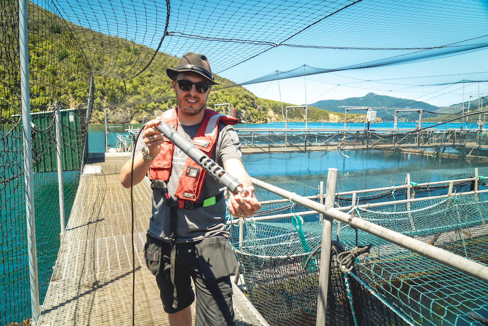 water salinity monitoring water salinity monitoring