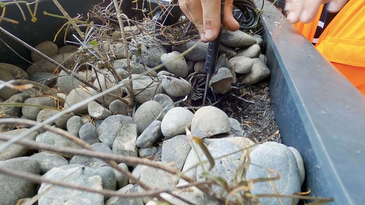 Natural Habitat soil sensor installation Natural Habitat soil sensor installation