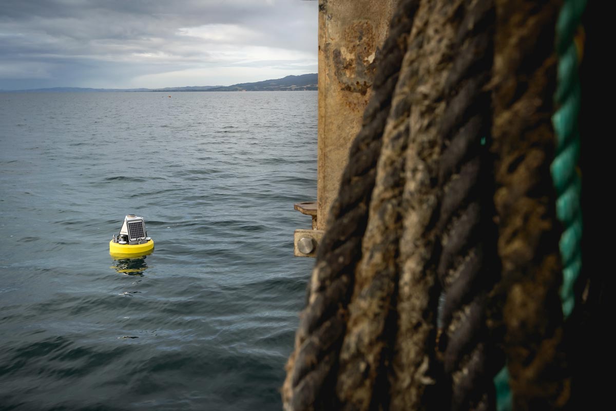 Aquaculture farms in harsh marine environments