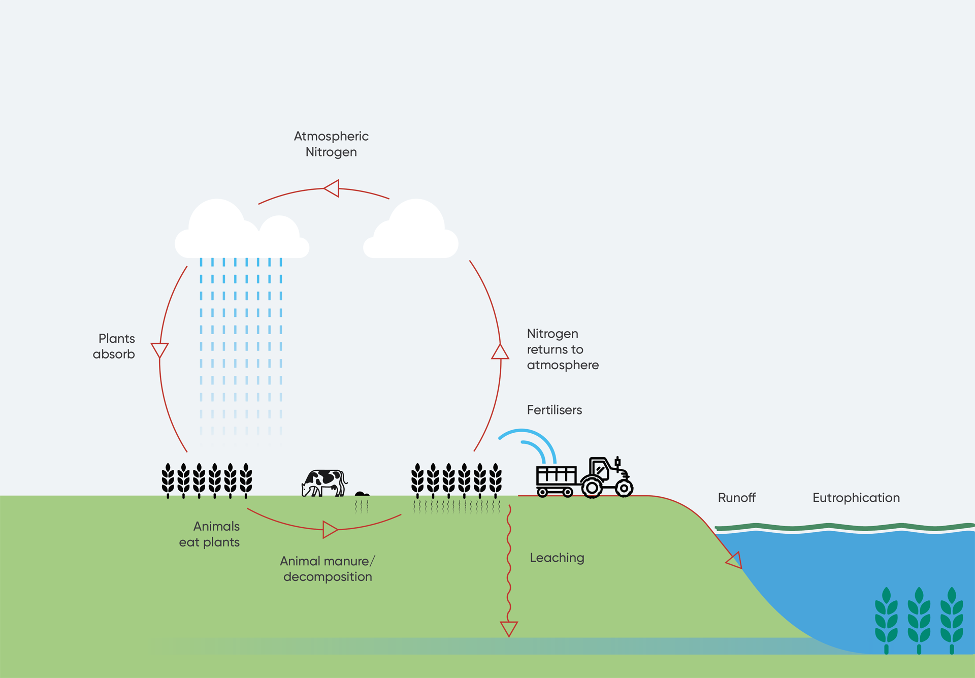 Nitrate monitoring cycle