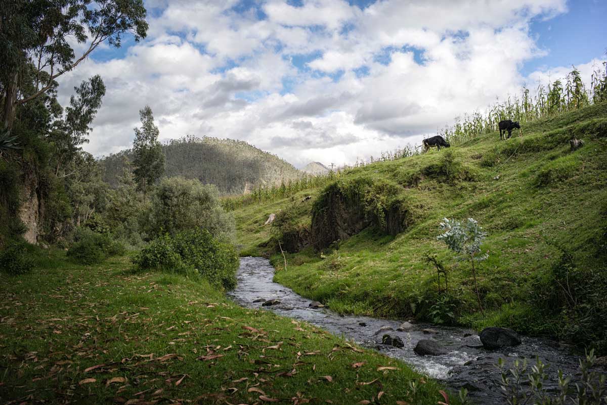 clean water nitrate level reduction
