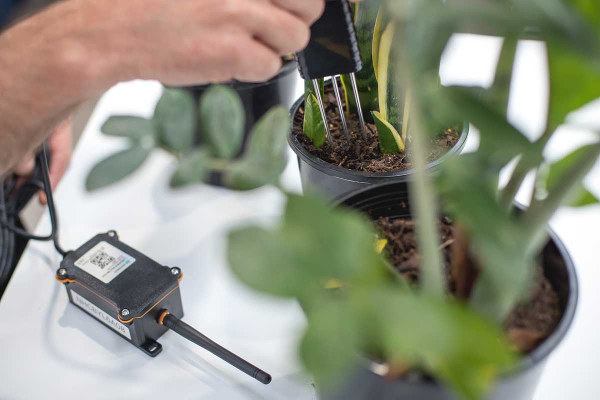 How do you monitor soil to improve and protect plant health?