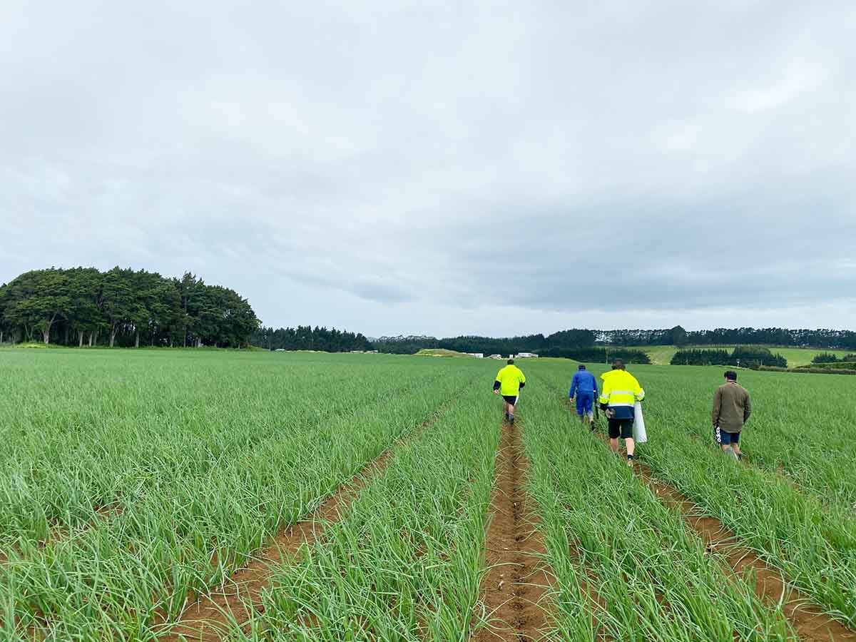 gaining insights into their farm’s soil conditions