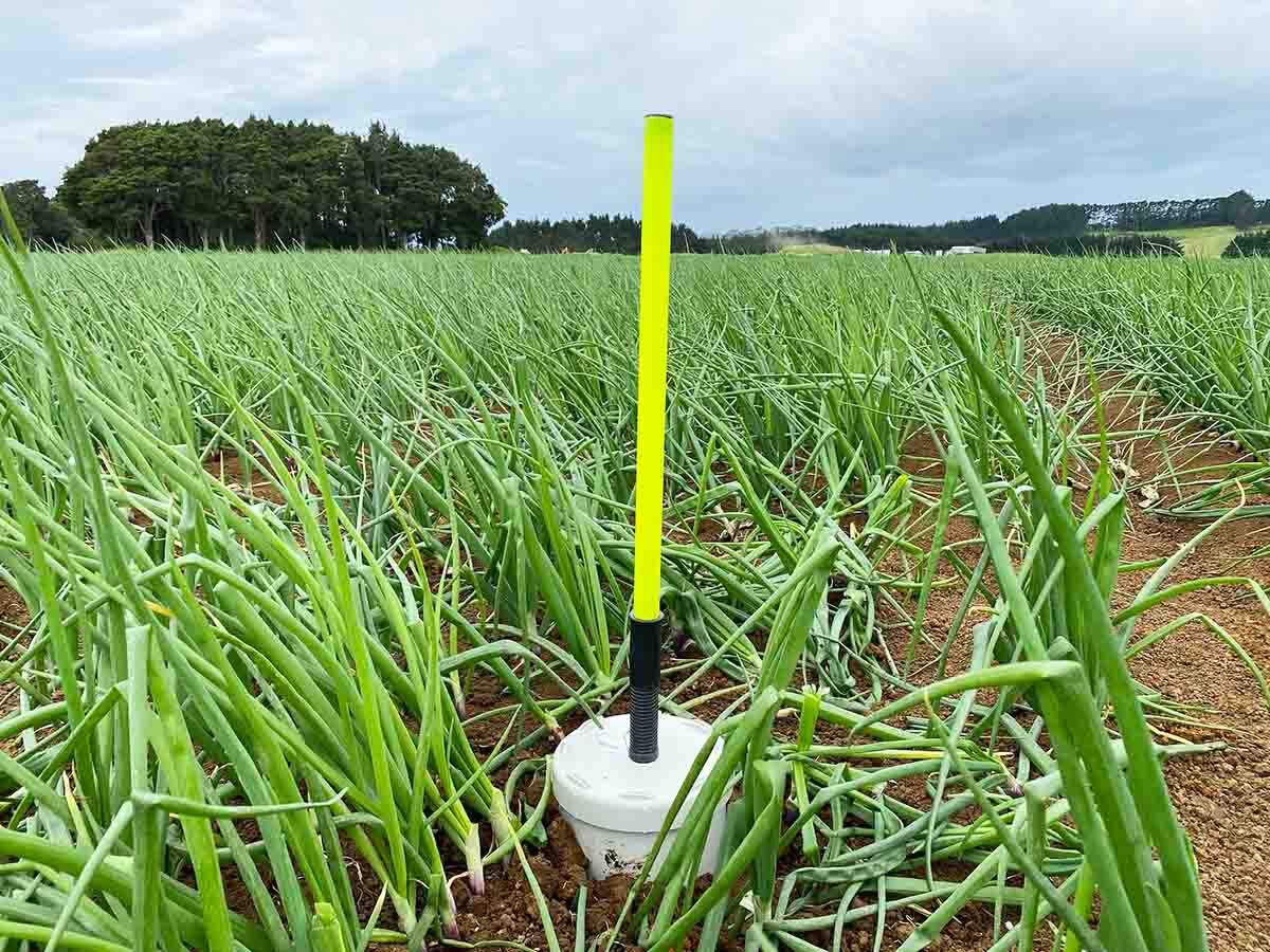 soil monitoring in market gardens