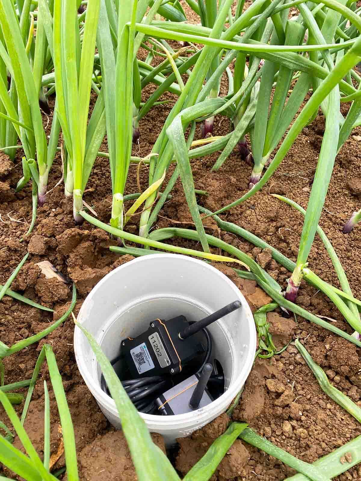 the sensors are to measure NPK nitrogen, phosphorus and potassium
