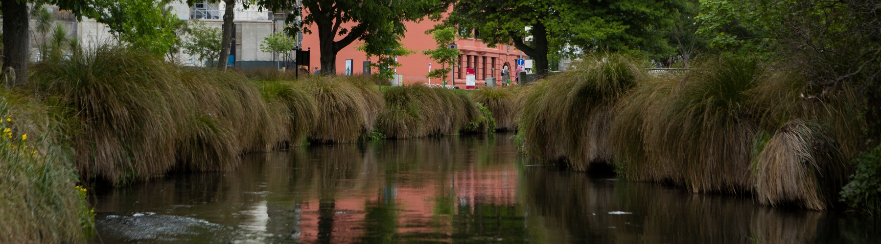 Environmental Monitoring Real-time water monitoring in the Ōtākaro Avon River