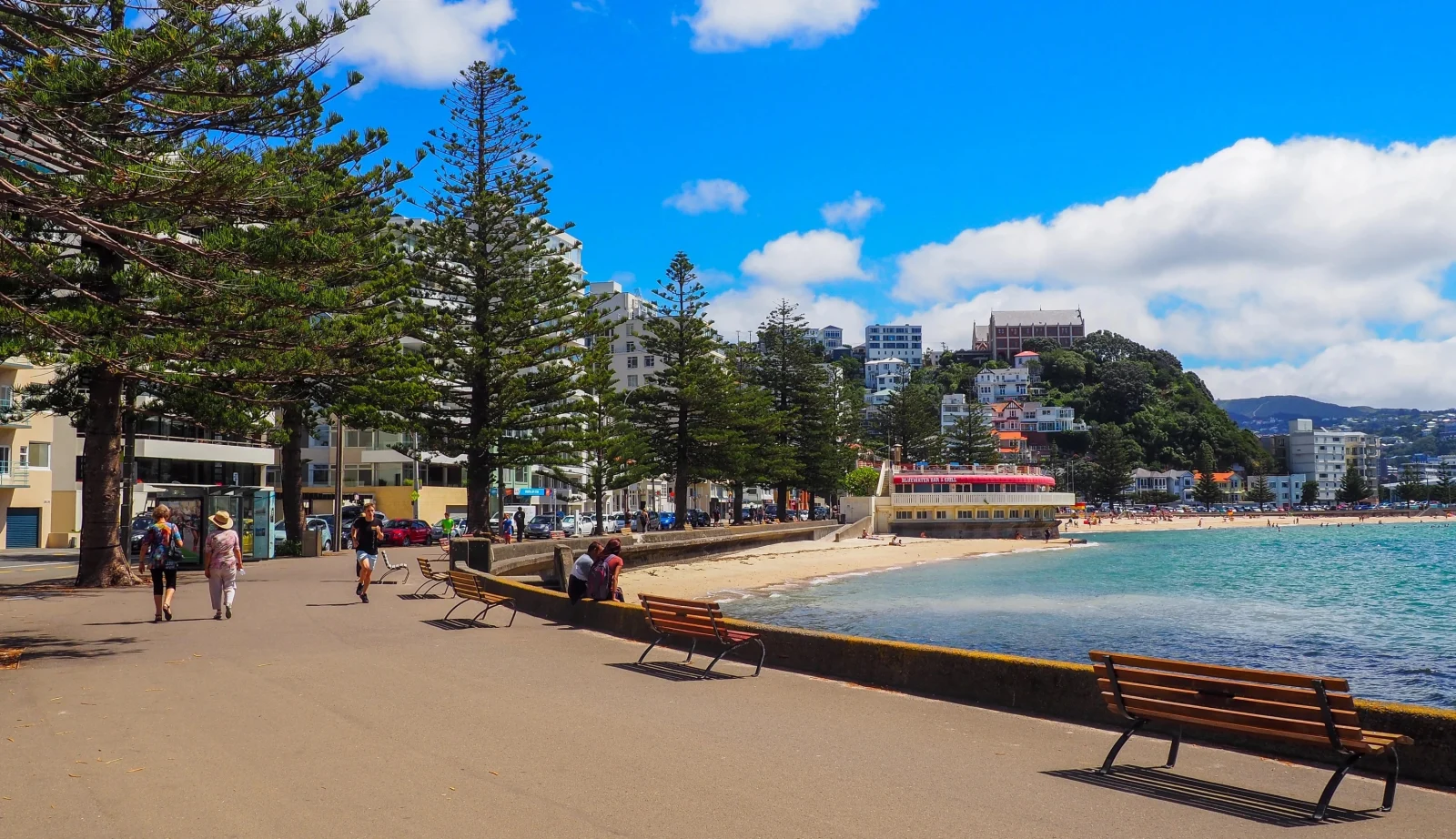 Why Real Time Monitoring Matters For E Coli City Beaches