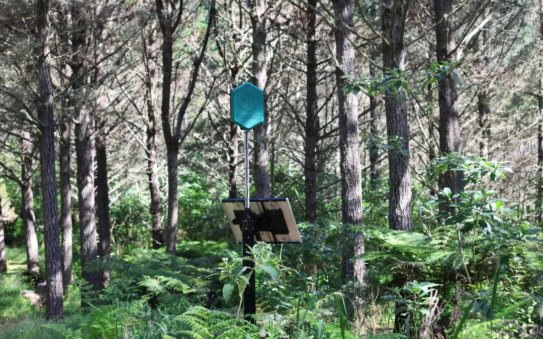 Ultra-Early Wildfire Detection at Waitangi